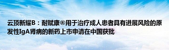 云顶新耀B：耐赋康®用于治疗成人患者具有进展风险的原发性IgA肾病的新药上市申请在中国获批