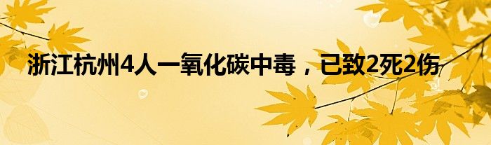 浙江杭州4人一氧化碳中毒，已致2死2伤