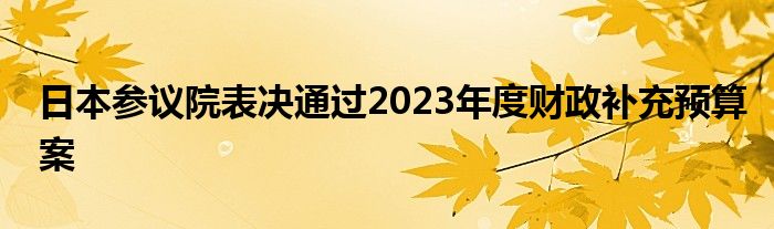 日本参议院表决通过2023年度财政补充预算案