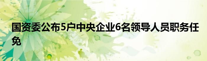 国资委公布5户中央企业6名领导人员职务任免