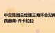 中交集团总经理王海怀会见南非公共工程和基础设施部部长西赫莱·齐卡拉拉