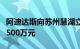 阿迪达斯向苏州慧湖立新教育发展基金会捐赠500万元