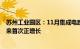 苏州工业园区：11月集成电路出口增长34%，是自年7月以来首次正增长