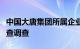 中国大唐集团所属企业专职董事王文鹏接受审查调查