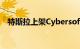 特斯拉上架Cybersoft毯子，售价1129元