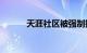 天涯社区被强制执行137万余元