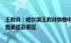 王府井：哈尔滨王府井购物中心争取亚冬会周边纪念品的销售渠道及展览