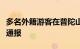 多名外籍游客在普陀山西方净苑盗取贡钱官方通报