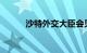 沙特外交大臣会见伊朗外交部长