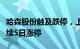 哈森股份触及跌停，上演“天地板”，此前连续5日涨停