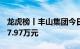 龙虎榜丨丰山集团今日涨停，机构净卖出1297.97万元