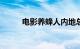 电影养蜂人内地总票房破9000万