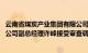 云南省煤炭产业集团有限公司副总经理 云南煤化工集团有限公司副总经理许峰接受审查调查