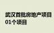 武汉首批房地产项目“白名单”出炉，涉及101个项目