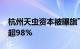 杭州天虫资本被曝旗下产品2024年亏损幅度超98%