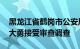 黑龙江省鹤岗市公安局原党委委员 副局长周大勇接受审查调查