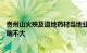 贵州山火殃及道地药材当地业内人士：目前价格稳定产量影响不大