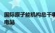 国际原子能机构总干事将视察日本福岛第一核电站