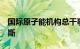 国际原子能机构总干事将于3月上旬访问俄罗斯