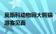 莫斯科动物园大熊猫“喀秋莎”明天将正式与游客见面