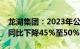 龙湖集团：2023年公司拥有人应占溢利预计同比下降45%至50%