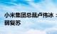 小米集团总裁卢伟冰：全球消费电子市场正微弱复苏