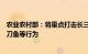 农业农村部：将重点打击长三角地区春季非法捕捞销售长江刀鱼等行为