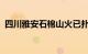 四川雅安石棉山火已扑灭，未造成人员伤亡