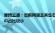 慧博云通：目前阿里及其生态合作伙伴业务在公司整体业务中占比较小