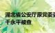 湖北省公安厅原党委委员 副厅长 一级巡视员干永平被查