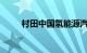 村田中国氢能源汽车正式投入运营