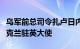 乌军前总司令扎卢日内退出现役，被任命为乌克兰驻英大使