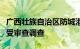 广西壮族自治区防城港市上思县委书记兰宏接受审查调查