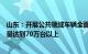 山东：开展公共领域车辆全面电动化试点，全省充电桩保有量达到70万台以上