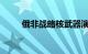 俄非战略核武器演习第一阶段开始