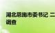 湖北恩施市委书记 二级巡视员苏勇接受审查调查