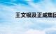 王文银及正威集团等被强执9.9亿