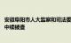 安徽阜阳市人大监察和司法委员会原主任委员 一级调研员董中续被查