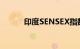 印度SENSEX指数再创历史新高