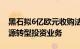 黑石拟6亿欧元收购法国Seves集团，发展能源转型投资业务