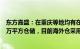 东方嘉盛：在重庆等地均有在建仓库，预计2年内落地4560万平方仓储，目前海外仓采用租赁方式