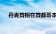 丹麦首相在首都哥本哈根遭一男子殴打