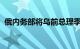 俄内务部将乌前总理季莫申科列入通缉名单