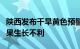 陕西发布干旱黄色预警：对夏播出苗和经济林果生长不利