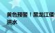 黄色预警！黑龙江倭肯河发生2024年第3号洪水