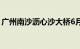 广州南沙沥心沙大桥6月22日将恢复全面通行