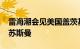 雷海潮会见美国盖茨基金会首席执行官马克·苏斯曼