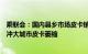 乘联会：国内县乡市场皮卡销量占比同比增长较好，有效抵冲大城市皮卡萎缩