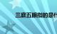 三庭五眼指的是什么（三庭五眼）