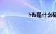 hfs是什么硬盘（hfs）